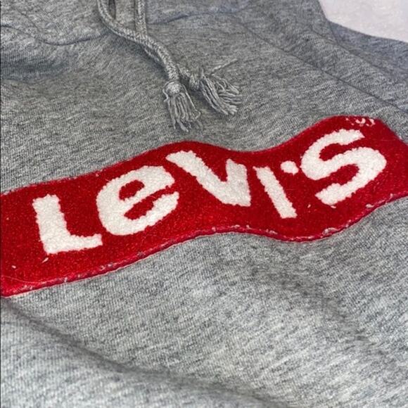 Levi's Logo Patch Oversize Hoodie in Gray | Size S - Picture 3 of 6